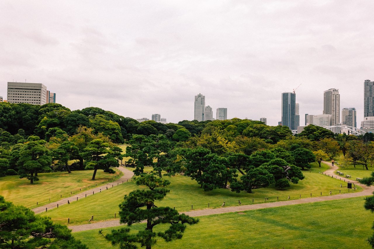 Grüner Park vor einer hellen Stadtsilhouette